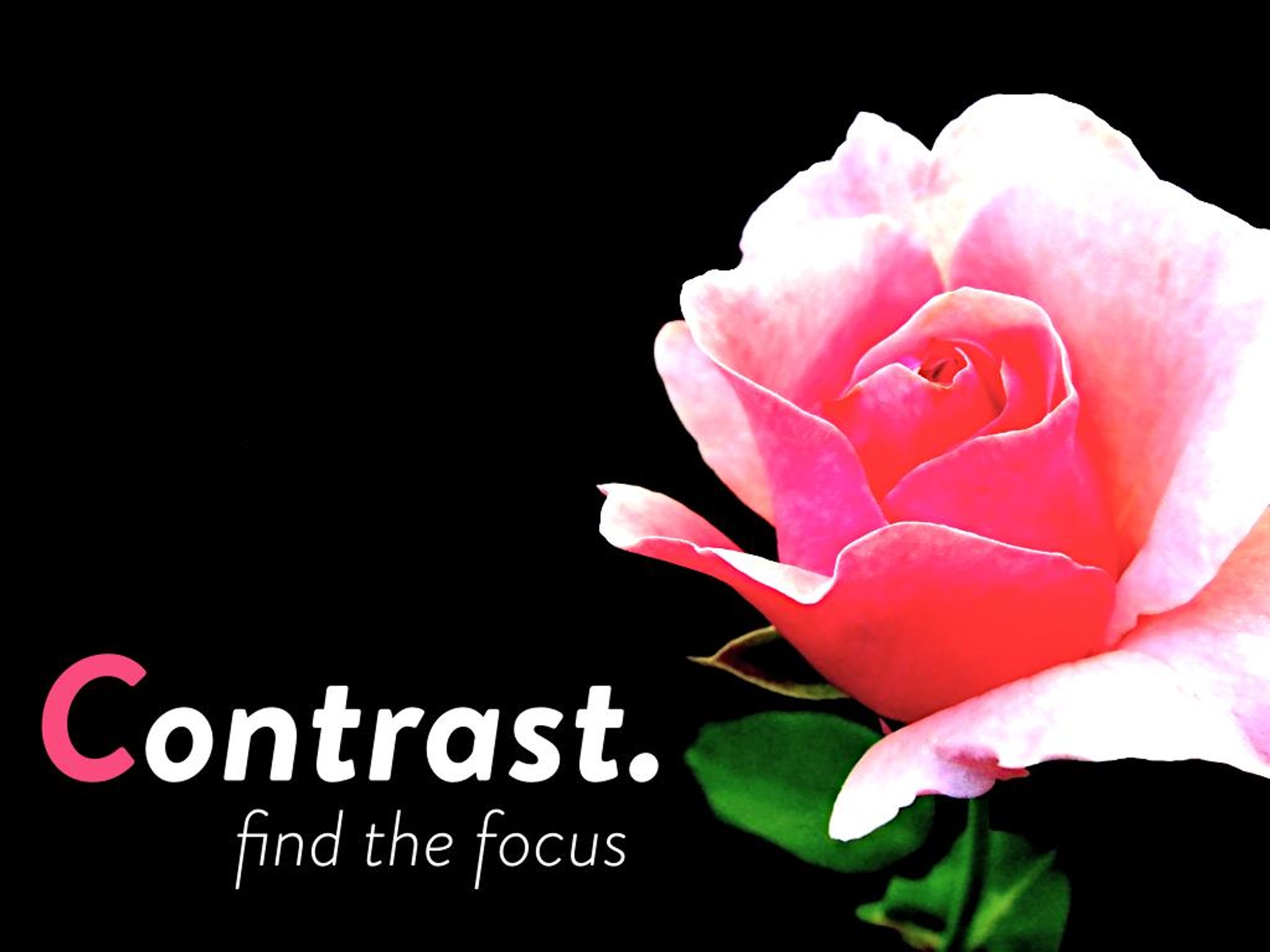 How to Design a PechaKucha Slide People Can Understand in 20 Seconds PechaKucha presentation design slide demonstrating contrast and visual focus.